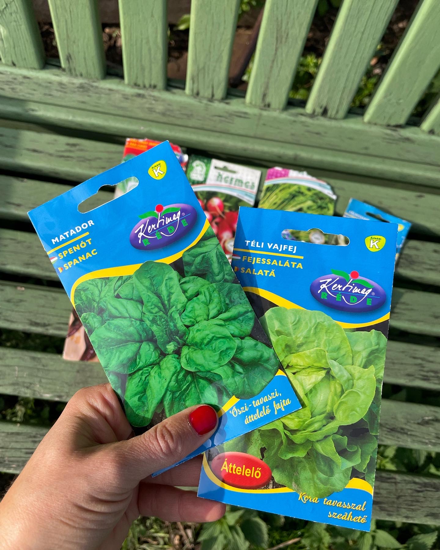 Tél alá vetés kertifóliában