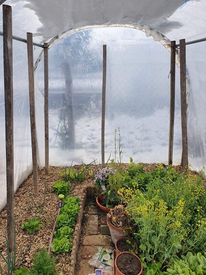 Tél alá vetés kertifóliában