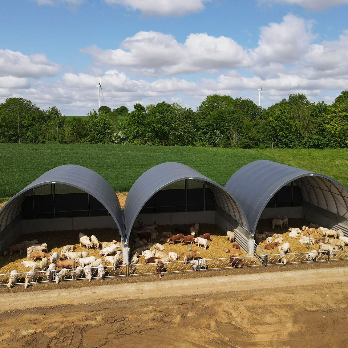 Shelterall állatbeálló