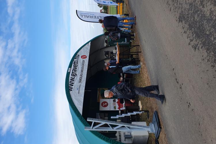 Gravetti Hódmezővásárhelyen