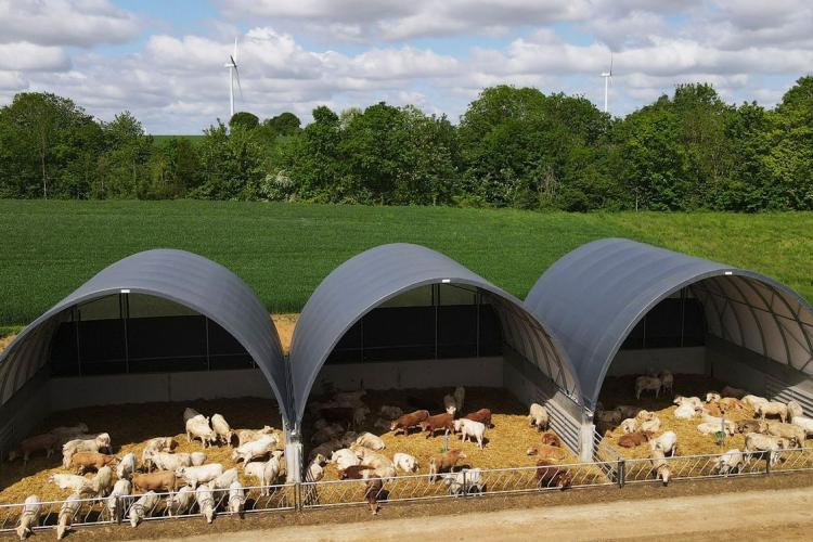 Állattartó sátor Gravetti módra