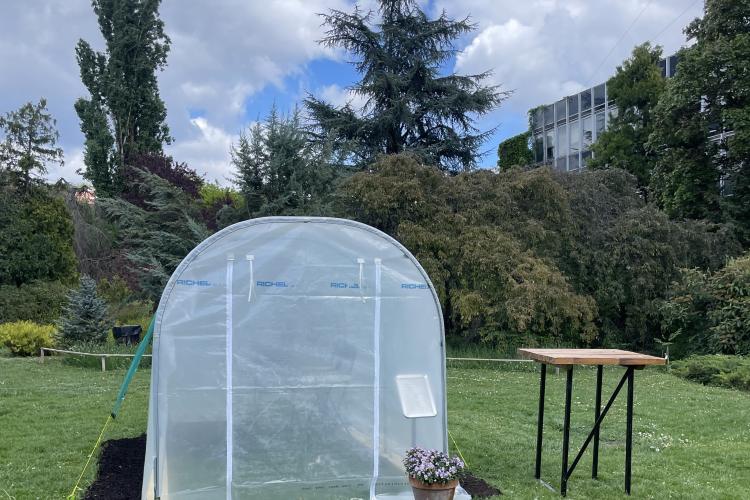 Tavaszkert Dísznövény 2024 Szakkiállítás és vásár