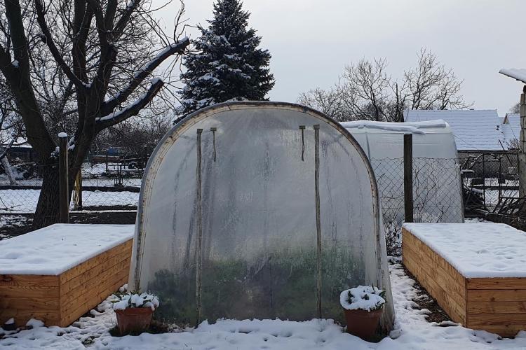 Használja a kertifóliáját télen is