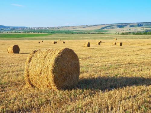 Bálabontás ELHO gépekkel