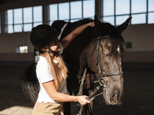 Eszközök lovasoknak