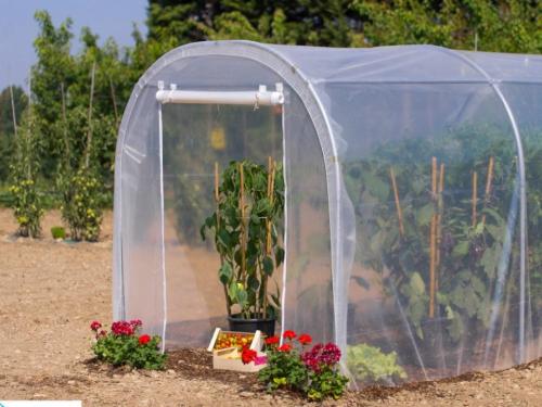 Kertifólia,a fóliák királya