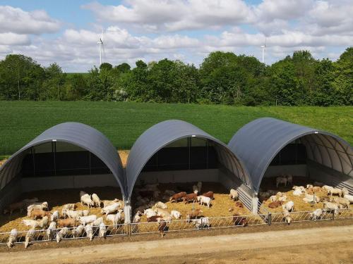 Állattartó sátor Gravetti módra