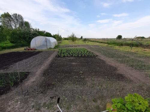 Kertifólia a kiskertben