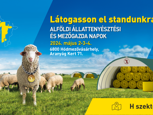 Gravetti Hódmezővásárhelyen 2024-ben is