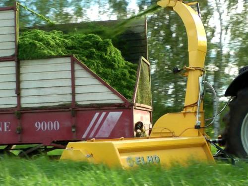 ELHO DC 2100 zöldtakarmány betalkarító