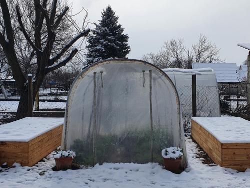 Használja a kertifóliáját télen is