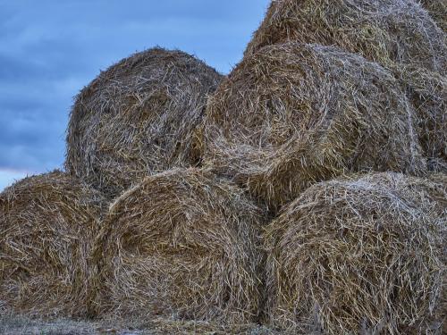 Ne így tárold a báláidat