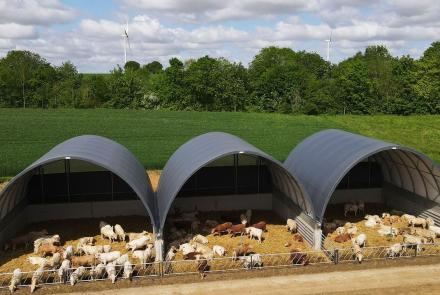 Marha stálló sátor