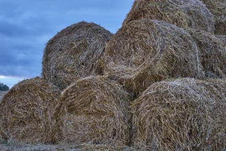 Ne így tárold a báláidat